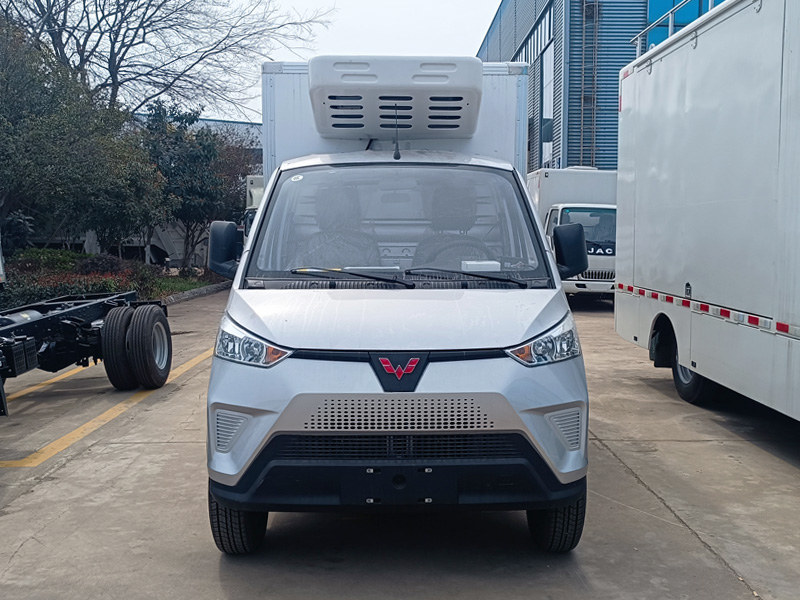 五菱冰宝纯电动冷藏车，菱势冰宝纯电动冷藏车，柳州五菱冰宝冷藏车，菱势冰宝冷藏车，五菱菱势纯电动冷藏车