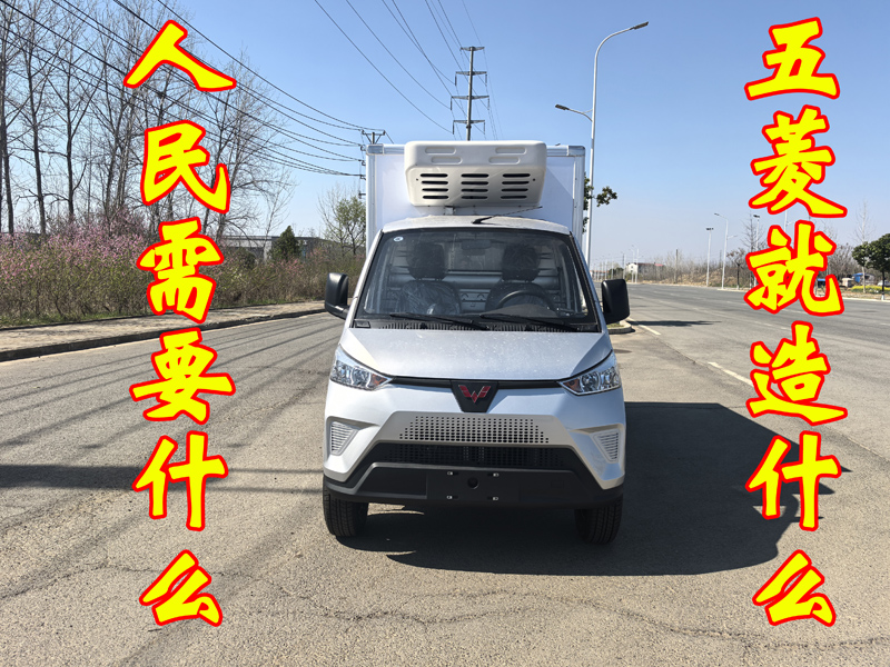 五菱纯电动冷藏车，五菱冰宝冷藏车，菱势冰宝纯电动冷藏车，柳州五菱纯电动冷藏车，菱势冰宝冷藏车，五菱菱势纯电动冷藏车